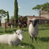 Farming Simulator 22 - Premium Expansion DLC EU Giants Software CD Key Farming Simulator 22 - Premium Expansion DLC EU Giants Software CD Key