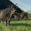 Farming Simulator 22 - Premium Expansion DLC EU Giants Software CD Key Farming Simulator 22 - Premium Expansion DLC EU Giants Software CD Key