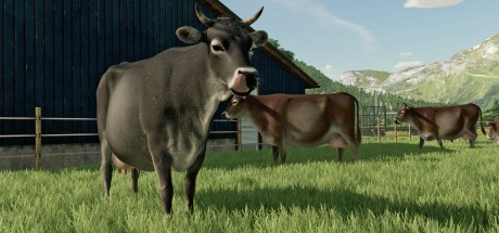 Farming Simulator 22 - Premium Expansion DLC EU Giants Software CD Key Farming Simulator 22 - Premium Expansion DLC EU Giants Software CD Key
