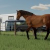 Farming Simulator 22 - Premium Expansion DLC EU Giants Software CD Key Farming Simulator 22 - Premium Expansion DLC EU Giants Software CD Key