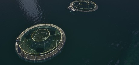 Ships At Sea PC Steam CD Key