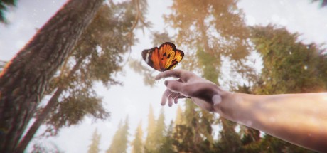 The Forest Cathedral Steam CD Key