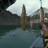 Ultimate Fishing Simulator - Japan DLC Steam CD Key Ultimate Fishing Simulator - Japan DLC Steam CD Key
