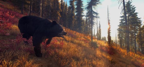 Way of the Hunter RoW Steam CD Key Way of the Hunter RoW Steam CD Key