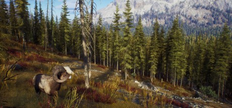 Way of the Hunter RoW Steam CD Key Way of the Hunter RoW Steam CD Key