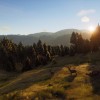 Way of the Hunter RoW Steam CD Key Way of the Hunter RoW Steam CD Key