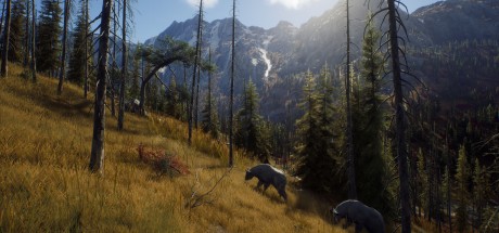Way of the Hunter RoW Steam CD Key Way of the Hunter RoW Steam CD Key