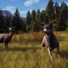 Way of the Hunter RoW Steam CD Key Way of the Hunter RoW Steam CD Key