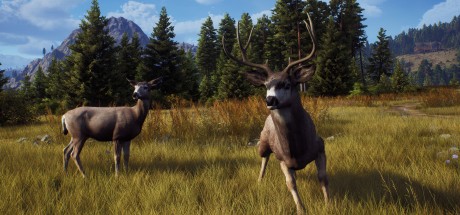 Way of the Hunter RoW Steam CD Key Way of the Hunter RoW Steam CD Key