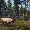 Way of the Hunter RoW Steam CD Key Way of the Hunter RoW Steam CD Key