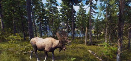 Way of the Hunter RoW Steam CD Key Way of the Hunter RoW Steam CD Key