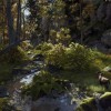 Way of the Hunter RoW Steam CD Key Way of the Hunter RoW Steam CD Key