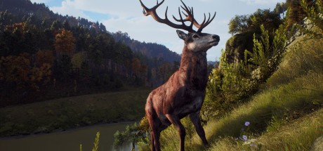 Way of the Hunter RoW Steam CD Key Way of the Hunter RoW Steam CD Key