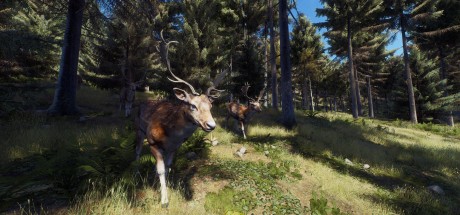 Way of the Hunter RoW Steam CD Key Way of the Hunter RoW Steam CD Key