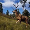 Way of the Hunter RoW Steam CD Key Way of the Hunter RoW Steam CD Key