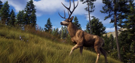 Way of the Hunter RoW Steam CD Key Way of the Hunter RoW Steam CD Key