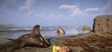 Sons Of The Forest Steam CD Key