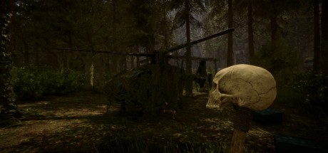 Sons Of The Forest Steam CD Key