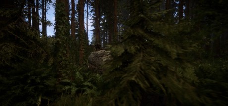 Sons Of The Forest Steam CD Key