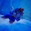 Song of Nunu: A League of Legends Story AR XBOX One / Xbox Series X|S CD Key  Song of Nunu: A League of Legends Story AR XBOX One / Xbox Series X|S CD Key
