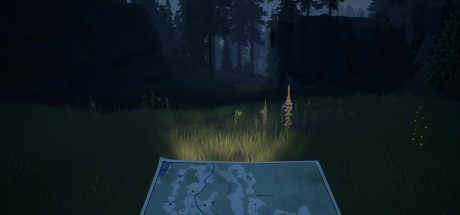 Radiolight PC Steam CD Key