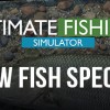 Ultimate Fishing Simulator - New Fish Species DLC Steam CD Key