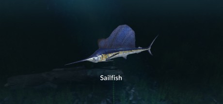 Ultimate Fishing Simulator - New Fish Species DLC EU Steam CD Key Ultimate Fishing Simulator - New Fish Species DLC EU Steam CD Key
