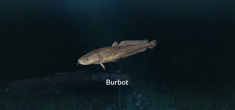 Ultimate Fishing Simulator - New Fish Species DLC Steam CD Key Ultimate Fishing Simulator - New Fish Species DLC Steam CD Key