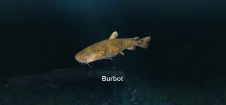 Ultimate Fishing Simulator - New Fish Species DLC Steam CD Key Ultimate Fishing Simulator - New Fish Species DLC Steam CD Key