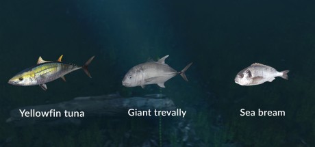 Ultimate Fishing Simulator - New Fish Species DLC Steam CD Key Ultimate Fishing Simulator - New Fish Species DLC Steam CD Key