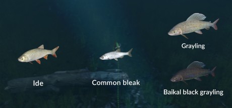 Ultimate Fishing Simulator - New Fish Species DLC Steam CD Key Ultimate Fishing Simulator - New Fish Species DLC Steam CD Key