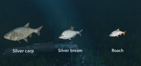 Ultimate Fishing Simulator - New Fish Species DLC Steam CD Key Ultimate Fishing Simulator - New Fish Species DLC Steam CD Key