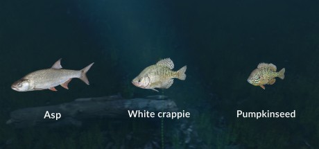 Ultimate Fishing Simulator - New Fish Species DLC Steam CD Key Ultimate Fishing Simulator - New Fish Species DLC Steam CD Key