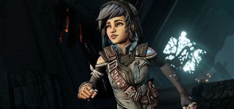 Borderlands 3 - Director's Cut DLC LATAM Steam CD Key