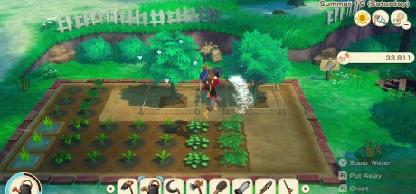 STORY OF SEASONS: Grand Bazaar PC Steam CD Key STORY OF SEASONS: Grand Bazaar PC Steam CD Key