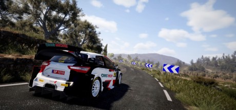 WRC 10 FIA World Rally Championship Deluxe Edition RoW PC Steam CD Key WRC 10 FIA World Rally Championship Deluxe Edition RoW PC Steam CD Key