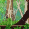 Webbed Steam CD Key