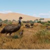 Planet Zoo: Premium Edition 2024 Steam CD Key