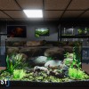 Aquarist NA PS5 CD Key