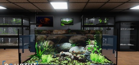 Aquarist NA PS5 CD Key