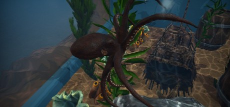 Aquarist NA PS5 CD Key