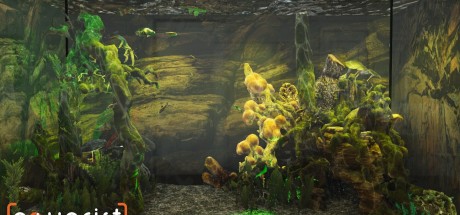 Aquarist NA PS5 CD Key