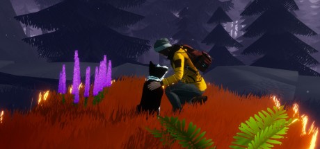 Farewell North PC EU Steam CD Key