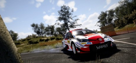 WRC 10 FIA World Rally Championship EU Nintendo Switch CD Key WRC 10 FIA World Rally Championship EU Nintendo Switch CD Key