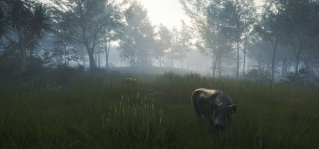theHunter: Call of the Wild - Te Awaroa National Park DLC EU PC Steam CD Key