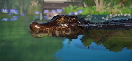 Planet Zoo - Aquatic Pack DLC EU PC Steam CD Key Planet Zoo - Aquatic Pack DLC EU PC Steam CD Key