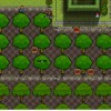 Prison Architect - Going Green DLC Steam CD Key
