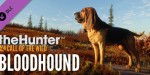 theHunter: Call of the Wild - Bloodhound DLC EU PC Steam CD Key