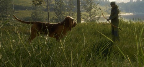 theHunter: Call of the Wild - Bloodhound DLC EU PC Steam CD Key theHunter: Call of the Wild - Bloodhound DLC EU PC Steam CD Key