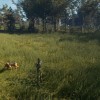 theHunter: Call of the Wild - Bloodhound DLC EU PC Steam CD Key theHunter: Call of the Wild - Bloodhound DLC EU PC Steam CD Key
